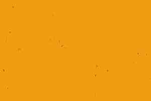 Линолеум Forbo Sphera Energetic 50210 mandarin фото  | FLOORDEALER